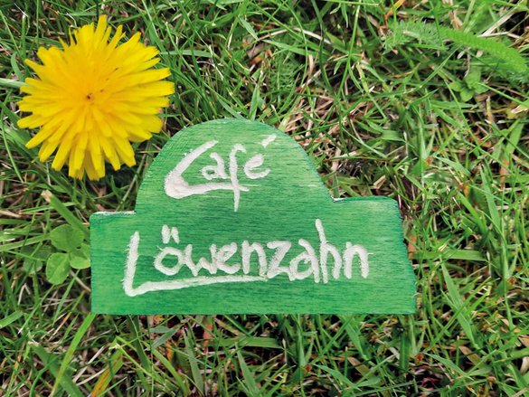Schriftzug Café Löwenzahn und Blüte