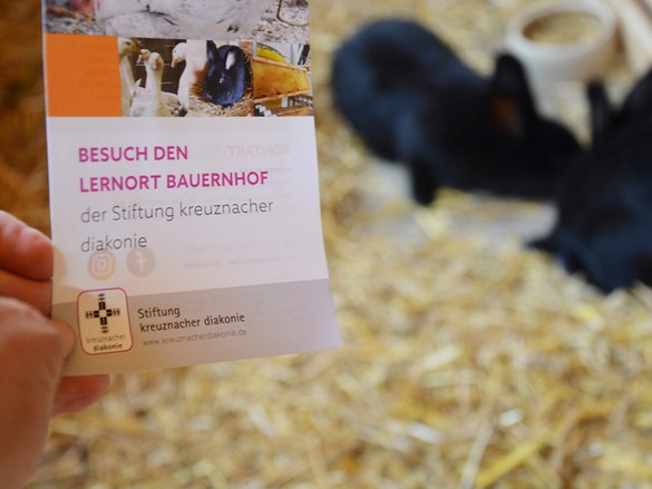 Flyer Lernort Bauernhof vor Hintergrund mit Tieren