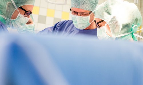 Experten für den Bauchraum