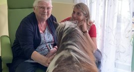 Zwei Frauen Mit Pferd 